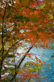 Niagara Gorge